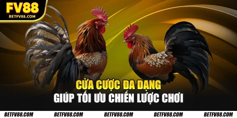 Hướng Dẫn Cá Cược Đá Gà Trực Tuyến Cho Người Mới Bắt Đầu 2 Cửa cược đa dạng giúp tối ưu chiến lược chơi